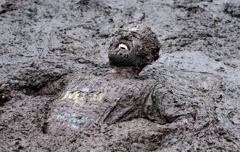 no people, face, animal wildlife, teeth, people, close-up, crew, textured, high angle view, men, buried, top, animal themes, mud, s, dirt, one animal, outdoors