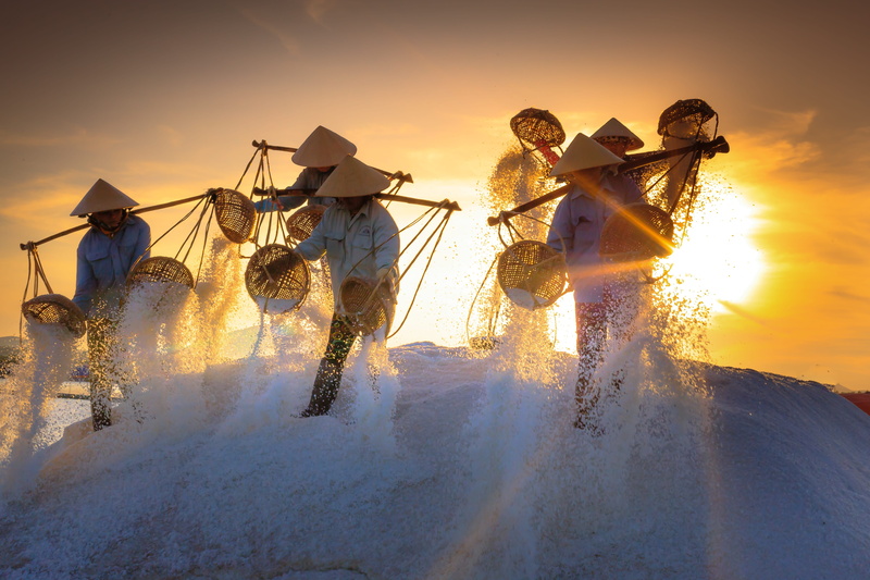 dawn, nha trang, the sea, the work, workers, ao, cone, stack, the morning, sakat, nature, natural, coworker, people, industrial, farm, sky, summer, young men