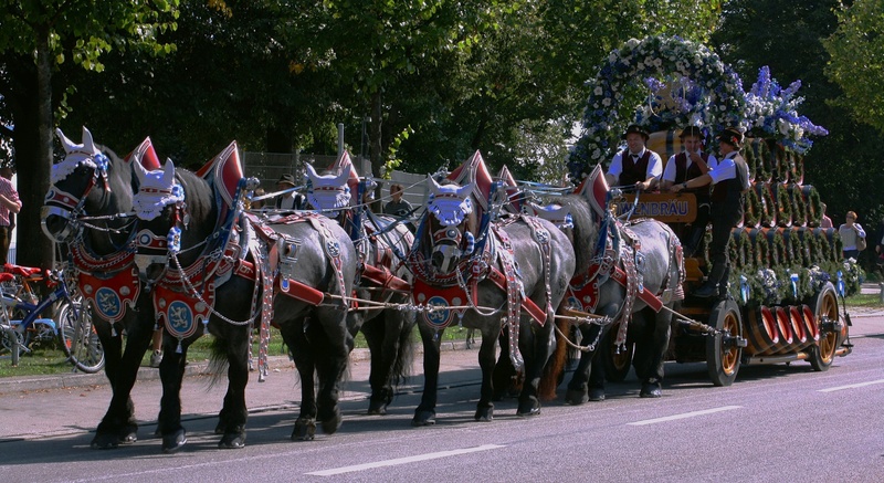 day, vertebrate, cart, nature, landmark, mammal, transportation, trees, livestock, festival, beer, germany, plant, street, horse, herbivorous, outside