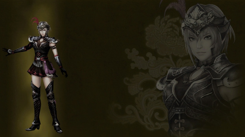 1080P, Dynasty Warriors 8, video games