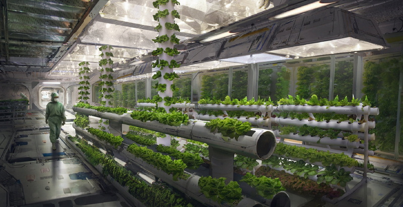 Futuristic, 1080P, Laboratory, Scientist, Farm, Sci Fi