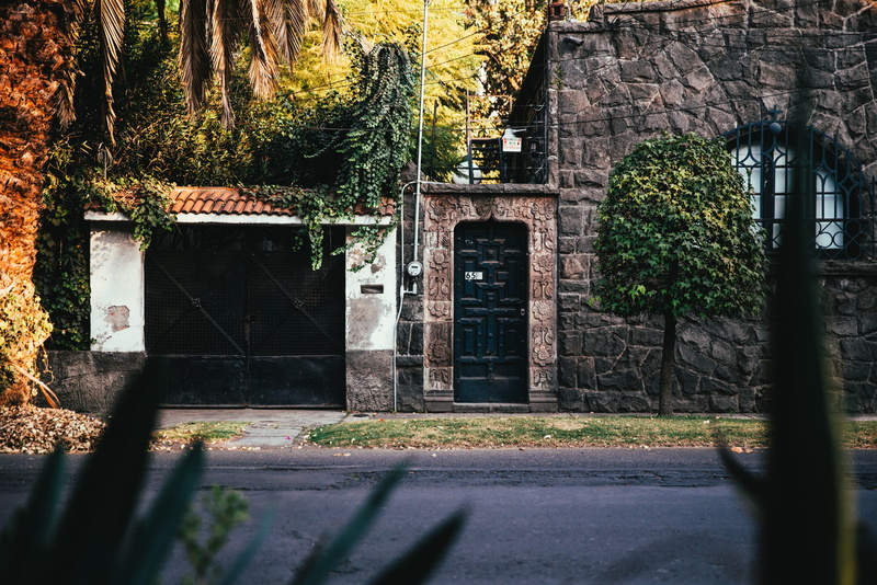 surrounded, estate, window, structure, built structure, plants, tree, growth, door, tropical, palms, doorway, stone walls, ivy, abandoned, grass, residence