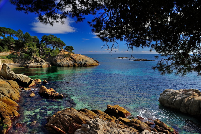 turquoise Colored, tourist Resort, branches, mediterranean Sea, cliff, relaxation, journey, near, rock, no People, body, tree, rocky coastline, sand, coastline