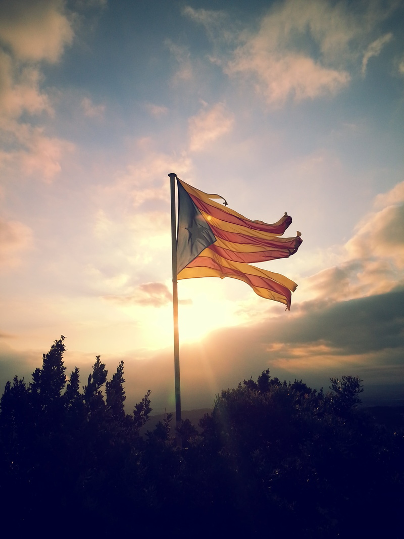 nature, environment, no people, sky, low angle view, cloud, outdoors, plant, tree, orange color, growth, 2K, flag, striped, cloud - sky, catalonia, sun