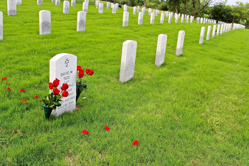 rows, land, outdoors, grave, nature, fallen, day, headstone, red, cemetery, gravestone, plant, silent, deceased, patriotic, grass, no people, graveyard