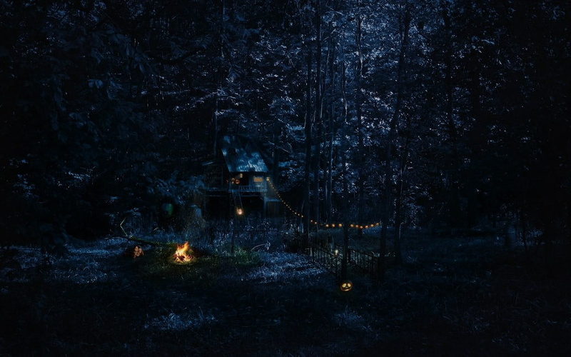 tree, land, tranquility, heat - temperature, water, campfire, night, tranquil scene, fire, dark, forest, cabin, 720P, outdoors, illuminated