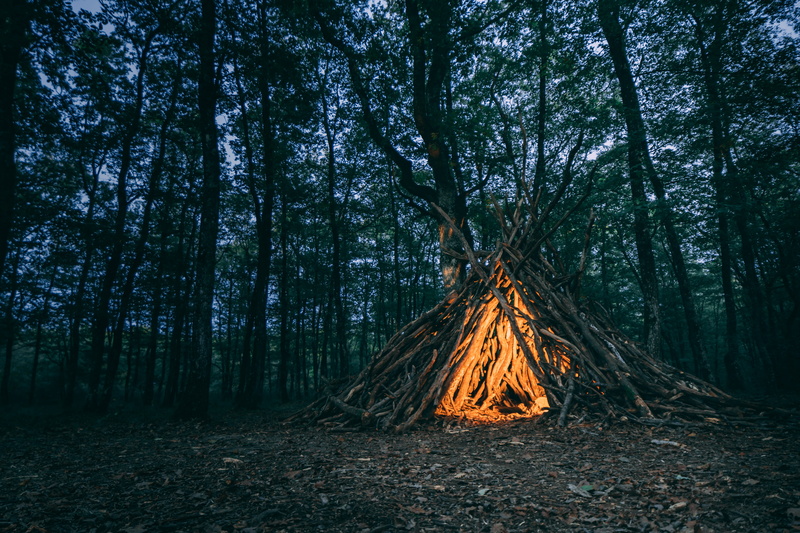 sky, plant, beauty in nature, wooden, growth, nature, bonfire, teepee, woodland, log, bark, trunk, brown, camping, forest, day, middle, campfire, no people