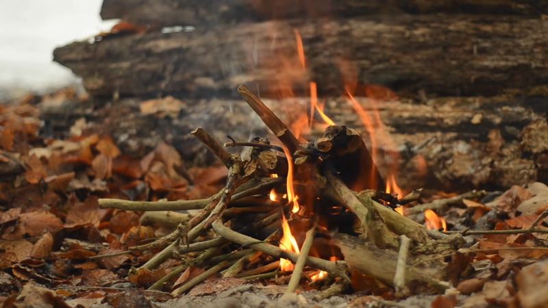 1080P, nature, fire, fall, campfire