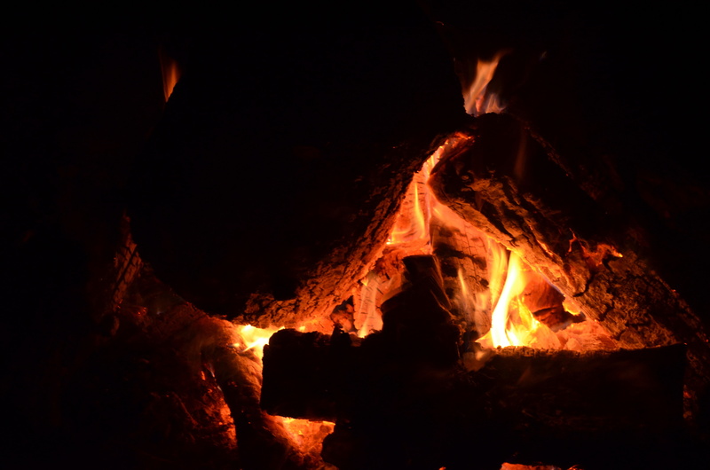 close-up, fire, no people, orange, glowing, inferno, 4K, firewood, bonfire, outdoors, flame, nature, campfire, motion, wood - material, log, dark, orange color