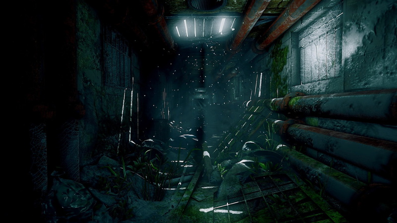 Steam (software), 1080P, video games, Investigator