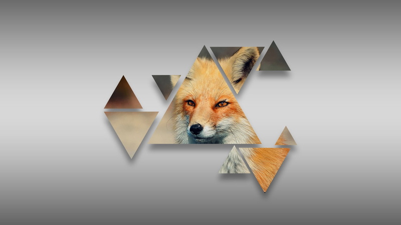 vertebrate, gray background, pets, no people, studio shot, triangle,  grey, 1080P, shape, animal wildlife, mammal, bird, domestic animals, geometric shape