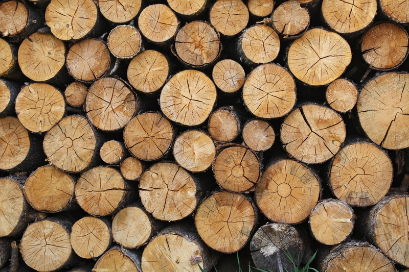 1080P, forestry, pattern, brown, wood - material, tree, timber, woodpile, chopped, raw, stacked, logging, no people, stack, backgrounds, full frame, firewood