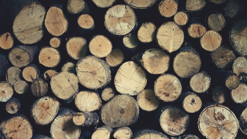 tree, full frame, forest, fuel and power generation, woodpile, heap, firewood, lumber industry, wood - material, abundance, no people, large group of objects
