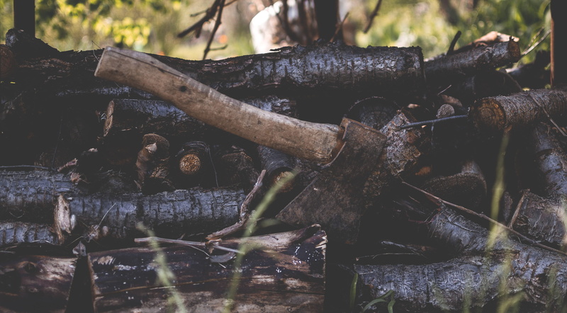 axe, tree, forest, lumber industry, log, no people, deforestation, close-up, outdoors, land, timber, selective focus, focus on foreground, lumberjack, nature