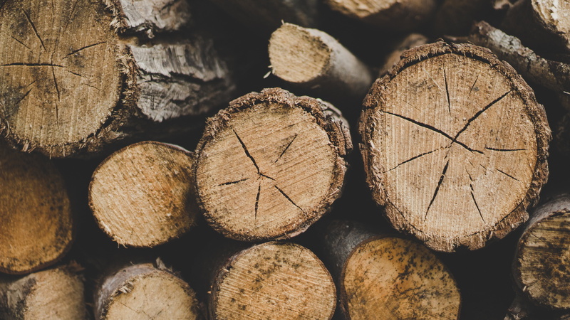 abundance, bark, chopped, fossil fuel, 5K, wood - Material, hardwood, pine, tree Trunk, cut, woodland, close-up, cutting, wood, woodpile, log, no People