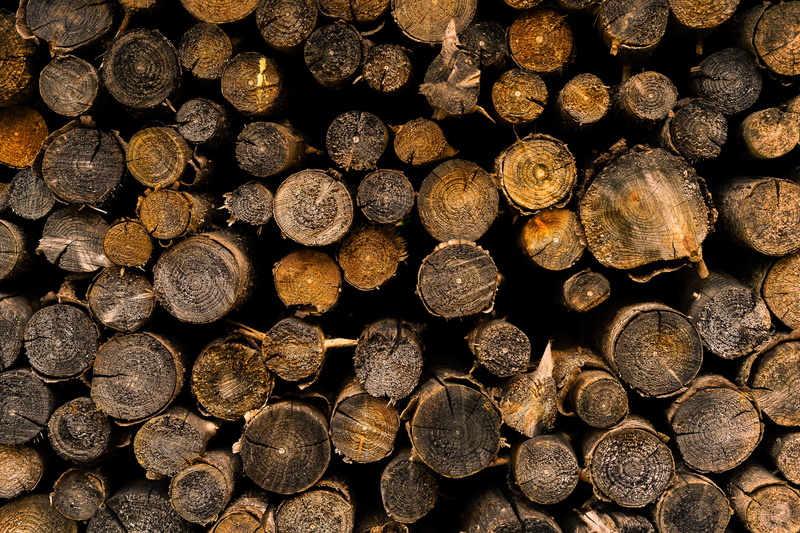 dry, forestry, 4K, stack, pattern, come, forest, large group of objects, environmental issues, log, deforestation, aesthetic, brown, no people, outdoors