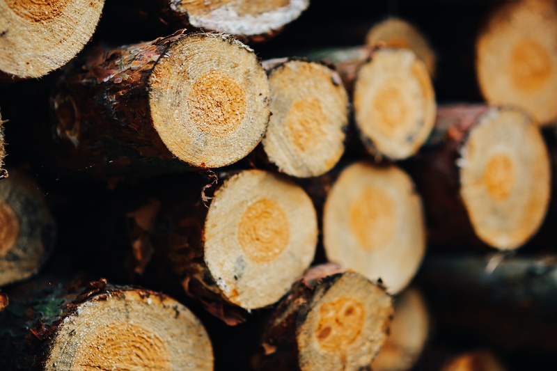 Wall, cross section, selective focus, pattern, heap, timber, food and drink, tree, firewood, lumber Industry, food, Wood, deforestation, wine, stack, backgrounds