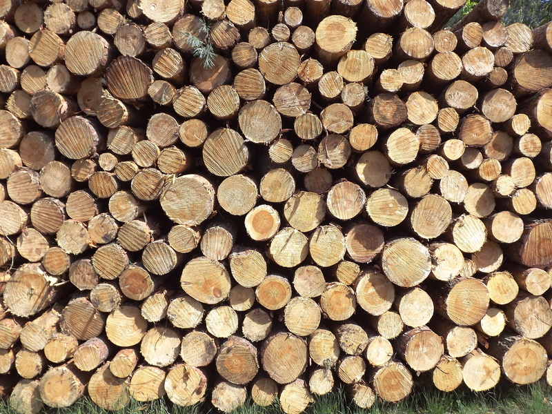 4K, pattern, repetition, tree, full frame, firewood, brown, tree Trunk, fuel and power generation, abundance, woodland, environmental issues, stack, pile