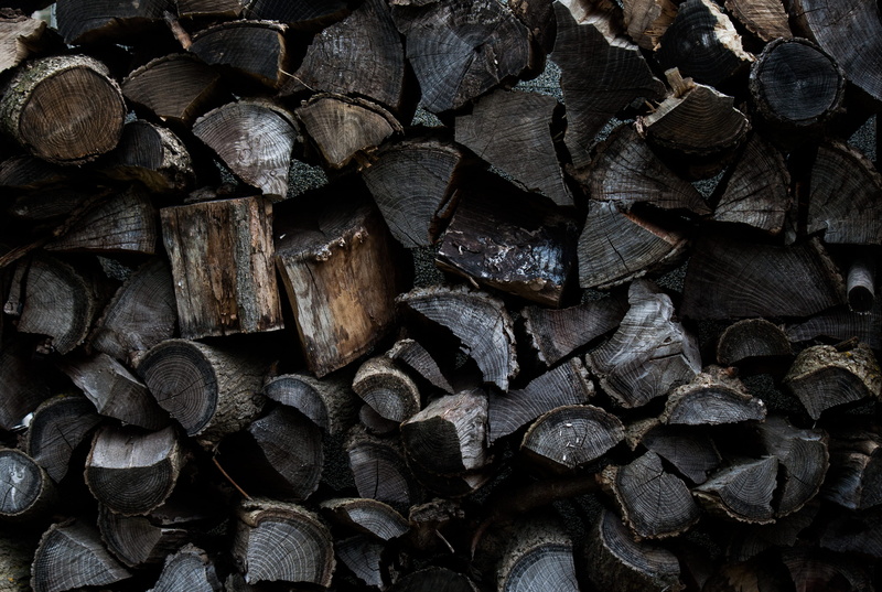 Pile, close-up, forest, brown, heap, tree, photography, no people, wood - Material, firewood, woodpile, stack, gray, lot, tree Trunk, large group of objects