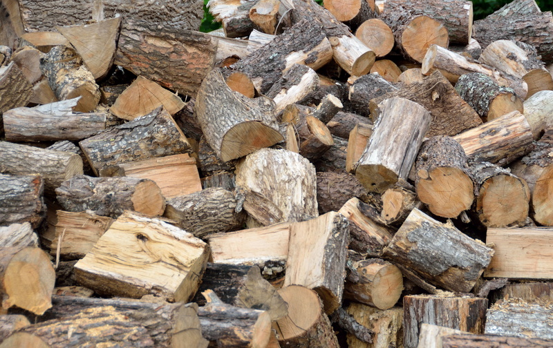 no people, large group of objects, abundance, forestry, forest, fossil fuel, lumber industry, backgrounds, cut, fuel and power generation, outdoors, pine