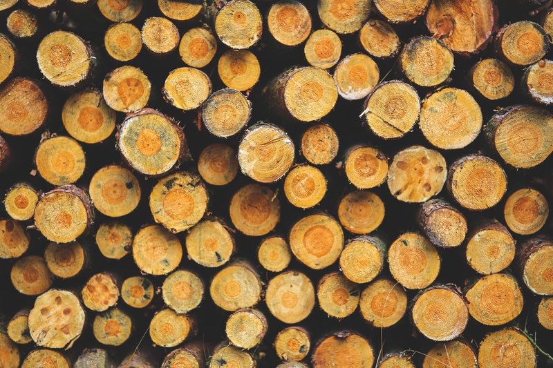 abundance, firewood, wood - Material, full frame, fireplace, woodpile, fuel and power generation, nature, wood, heating, timber, large group of objects