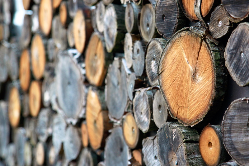 grain, woodpile, stacked up, timber industry, oak, growing stock, beech, log, strains, deforestation, storage, nature, timber, lumber Industry, combs thread cutting