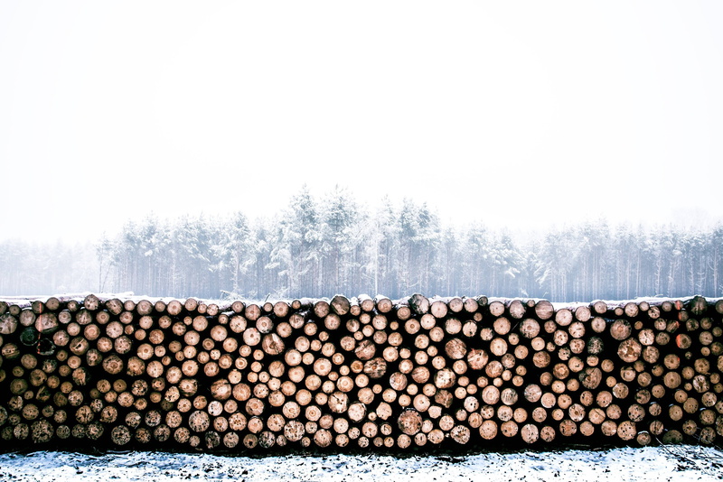 log, trunk, timber, wood, lumber, 4K, woodpile, winter