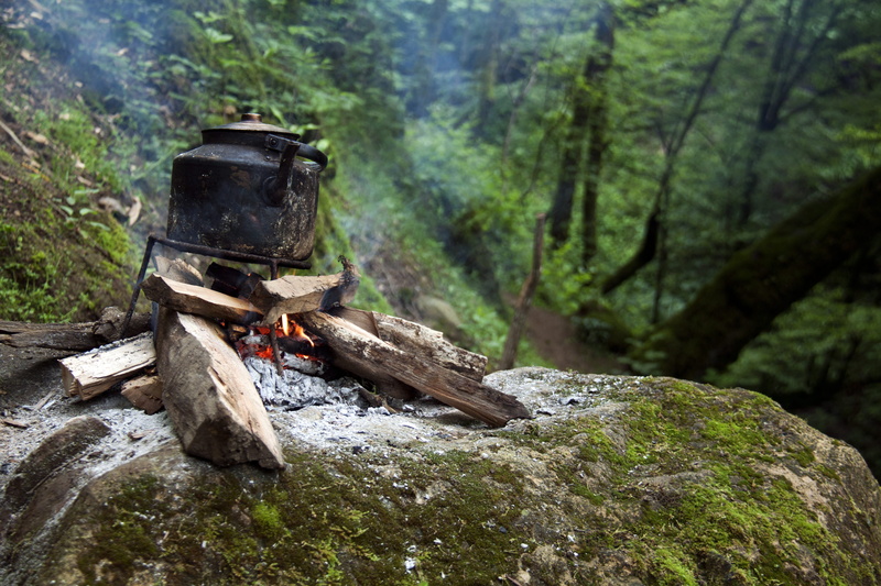 plant, bonfire, solid, iran, kettle, fire - natural phenomenon, log, wood, campfire, burning, fire, heat - temperature, nature, forest, firewood, rock - object