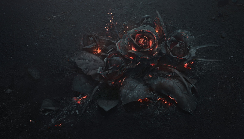 burned, ash, coal, 4K, Arsthanea, art, black roses