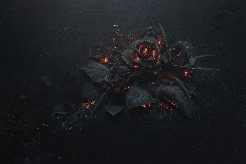 4K, Burning, Ash, rose, black
