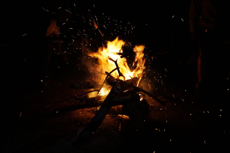 indoors, forest, high angle view, flame, glowing, log, burning, Friends, adventure, friendship, nature, Group, happiness, Fun, outdoors, firewood, 4K