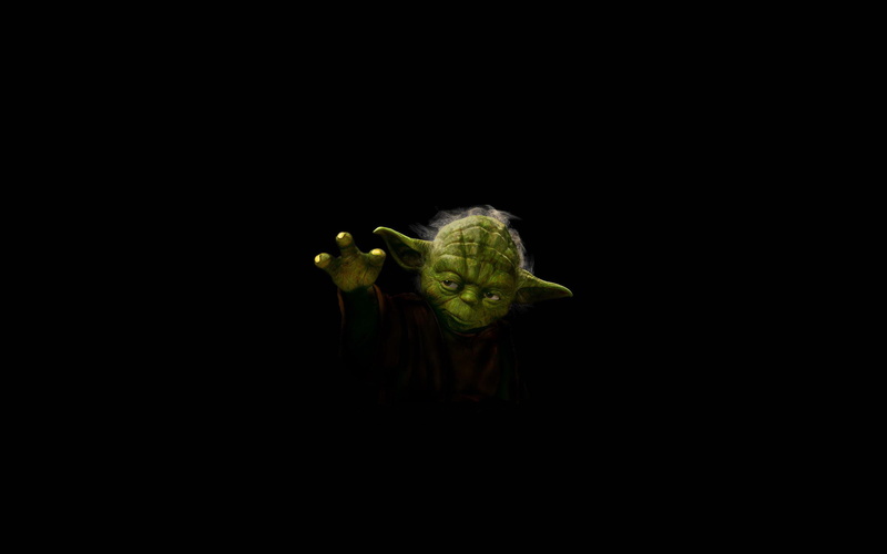 Jedi, beauty in nature, nature, studio shot, copy space, iodine, close-up, no people, master, animal themes, wars, animals in the wild, one animal, 1080P