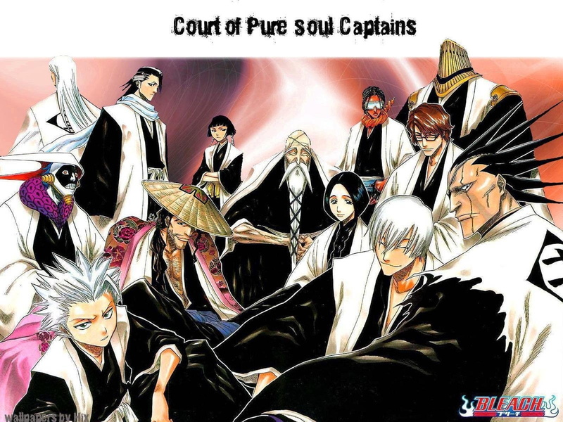 Byakuya Kuchiki, Tōshirō Hitsugaya, Bleach, Unohana Retsu, Kenpachi Zaraki, Soifon (Bleach), Gin Ichimaru, Jūshirō Ukitake, Shunsui Kyōraku, Kaname Tosen
