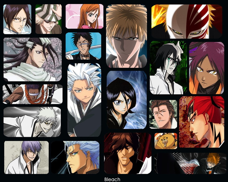 Ulquiorra Cifer, Yoruichi Shihôin, Grimmjow Jaegerjaquez, Rukia Kuchiki, Renji Abarai, Kon (Bleach), Tōshirō Hitsugaya, Uryu Ishida, Bleach, Hisagi Shūhei