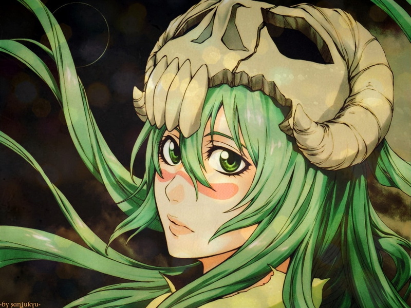 tu, odelschwanck, art, hd, bleach, nelliel, espada, 720P, x, anime