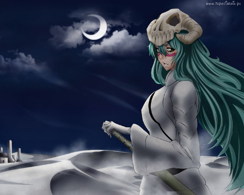 720P, anime, hueco mundo, hueco, bleach, tu, espada, nelliel, art, mundo, Nelliel Tu Odelschwanck, odelschwanck, hd