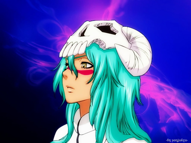 art, 480P, hd, bleach, espada, anime, nelliel, odelschwanck, tu, x