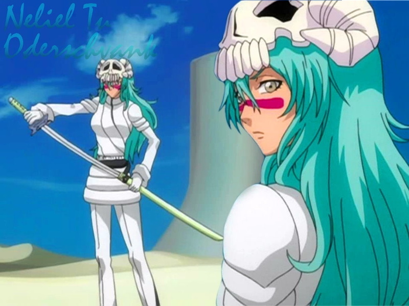 art, tu, anime, nelliel, bleach, hd, odelschwanck, hueco, 480P, mundo, espada, x