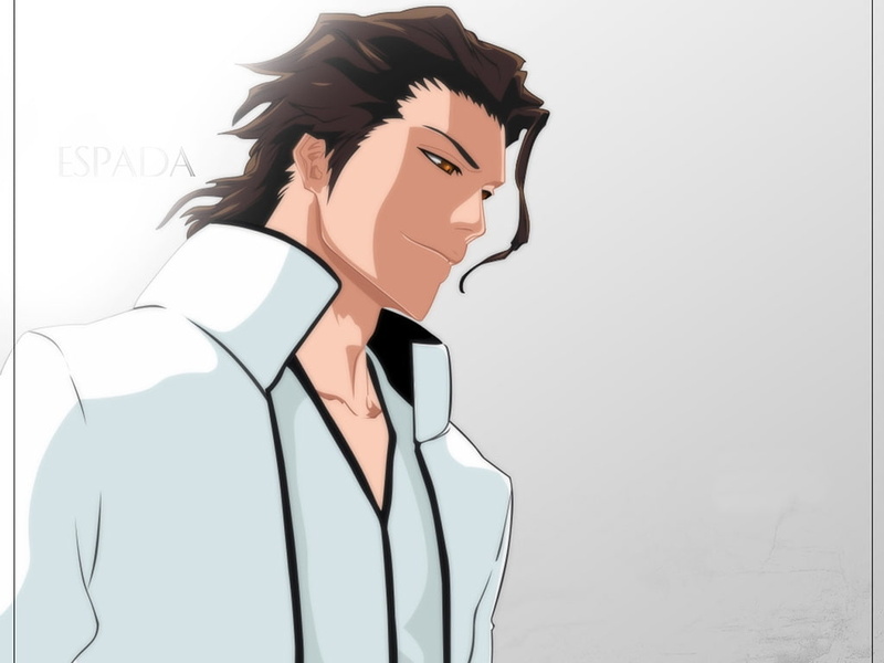 anime, sosuke, 480P, bleach, aizen sosuke, aizen, art, hd