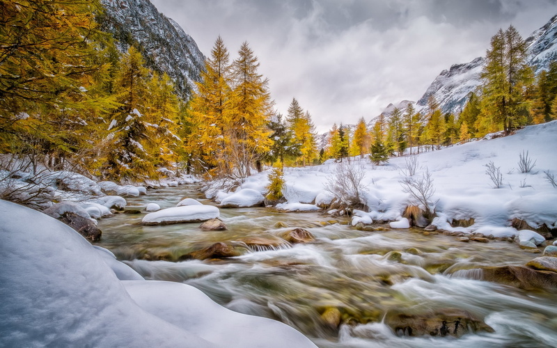 Schweiz, 2K, Winter, River, bever, Snow, val, Trees, Engadin, White