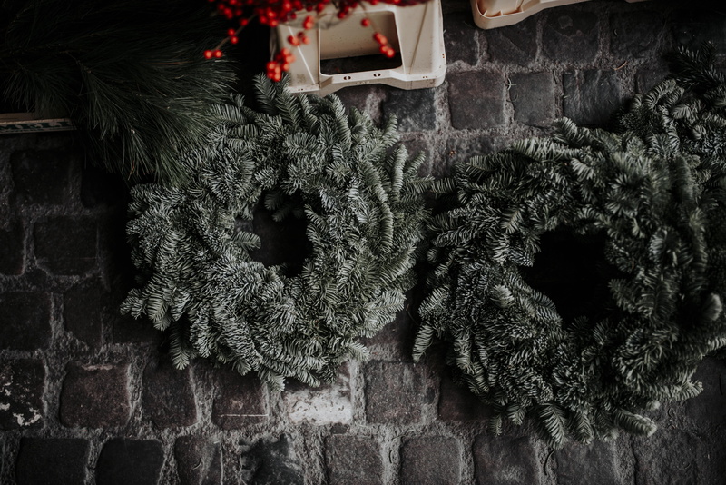 plant, pavement, celebration, adventskalender, two, couch, no people, built structure, architecture, nature, furniture, christmas tree decor, green, walkway