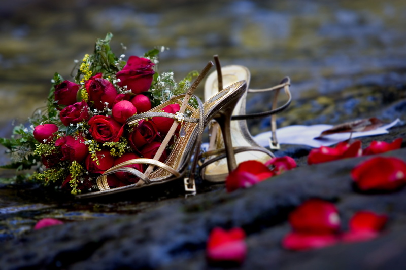 romance, water, outdoors, close-up, summer, mode of transportation, heel, flower, sandals, green Color, celebration, freshness, leaf, no People, 2K, shoes