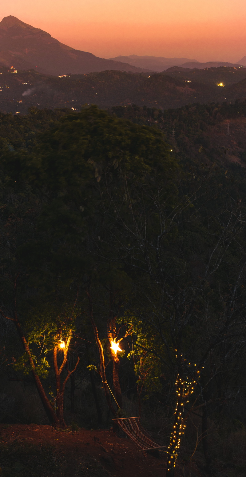 nature, plant, 5K, fire, orange color, bonfire, animal, flame, beauty in nature, scenics - nature, land, no people, night, flare, crystal, abies, outdoors