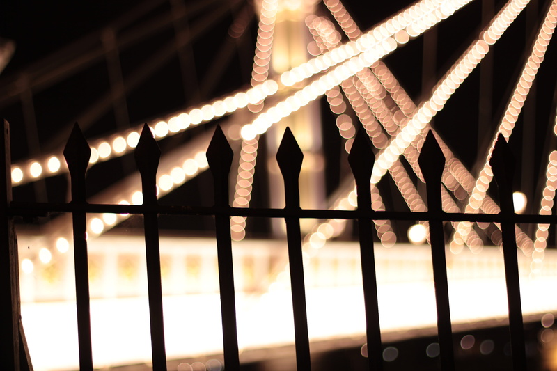 alloy, focus on foreground, pattern, selective focus, night, architecture, lighting equipment, fence, 5K, lion, outdoors, grille, silhouette, handrail