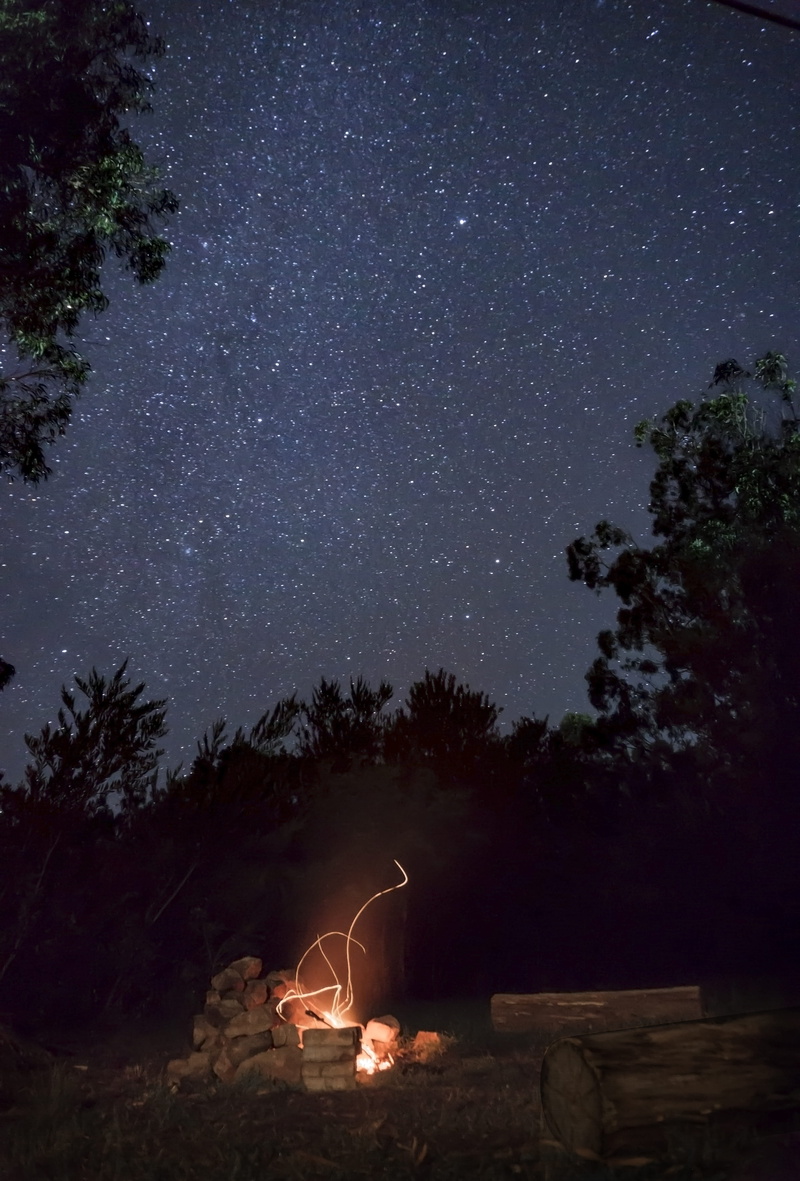 tree, trees, universe, mountain, land, forest, illuminated, glowing, plant, nature, woods, starry sky, scenics - nature, flare, 5K, milky way, bonfire