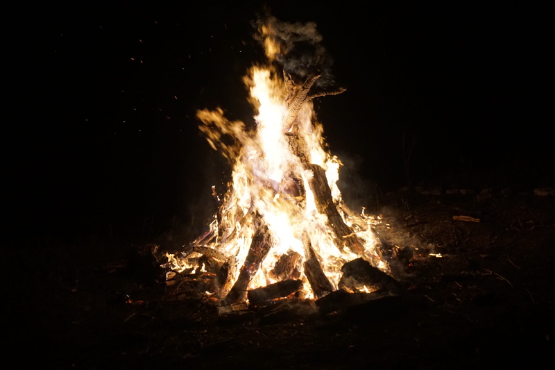 Camp, camping, summer camp, flame, motion, Nature, camp fire, dark, burning, forest, Bonfire, glowing, fire - Natural Phenomenon, yellow, 5K, red, fireplace