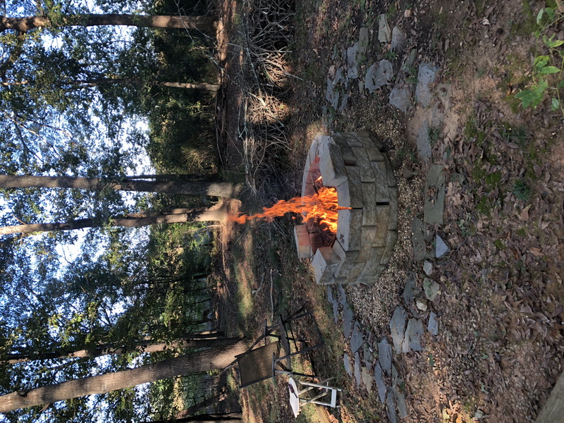 flame, ground, outdoors, burning, motion, plant, heat - temperature, path, orange color, woods, forest, gravel, camping, no people, 4K, wood - material
