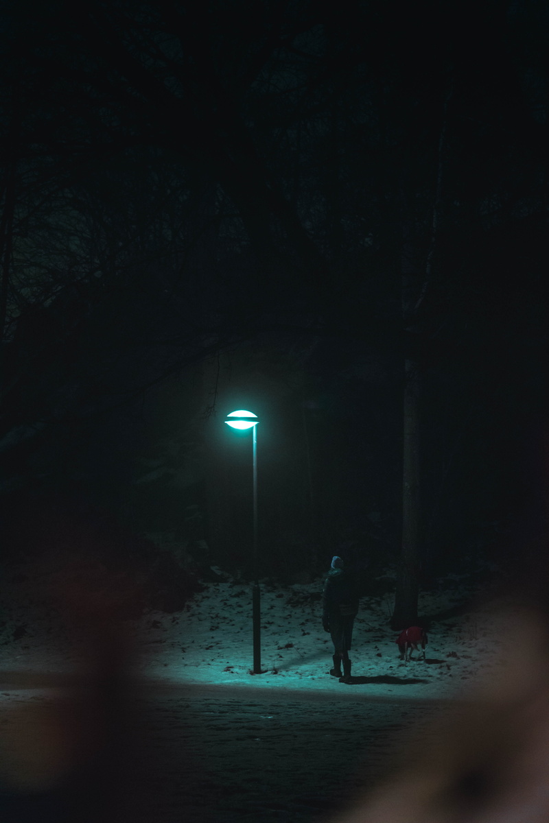 snow, canine, real people, tarmac, outdoors, underneath, human, pet, animal, land, man, night, illuminated, lighting equipment, light, full length, person