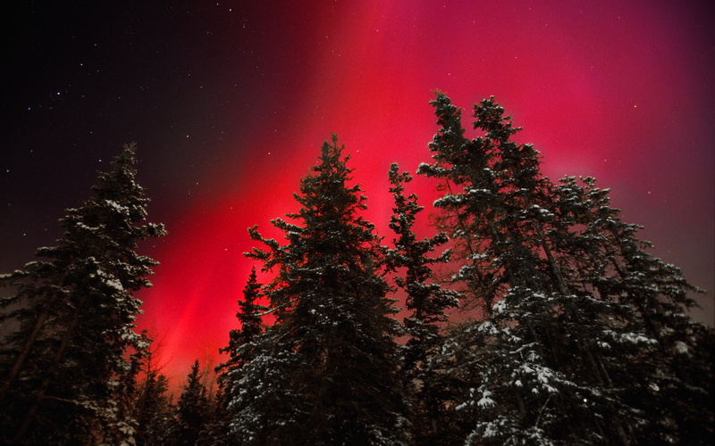night, hd, special, desktop, laptop, sky, aurora, tablet, ultra, 4K, rare, red, k, mobile, phones, computers, yukon, occurrence, fiery, territory