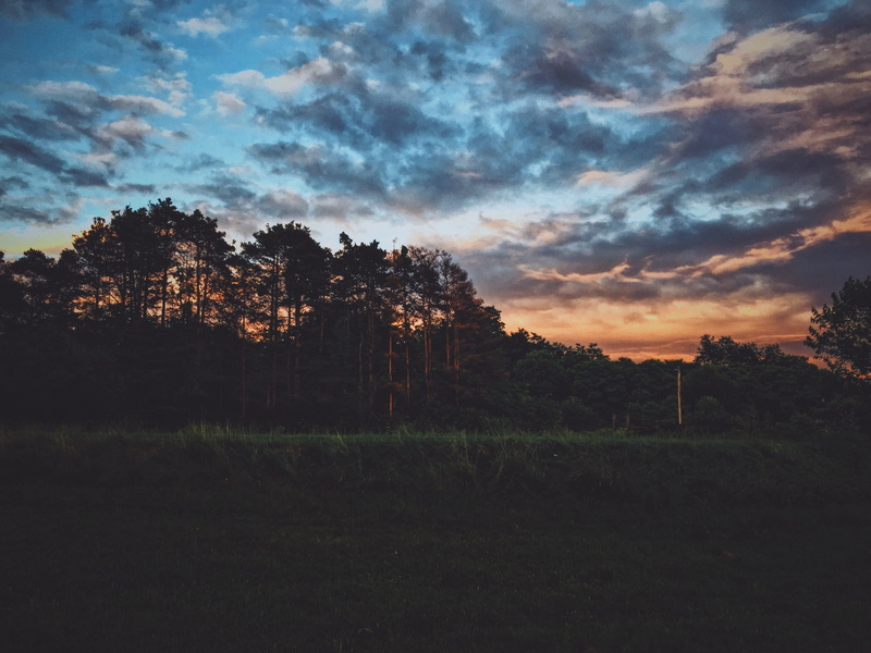 fiery, trees, beauty in nature, silhouette, outdoors, tranquility, plant, nature, romantic, clouds, underexposed, surreal, land, ohio, beauty, growth, united states